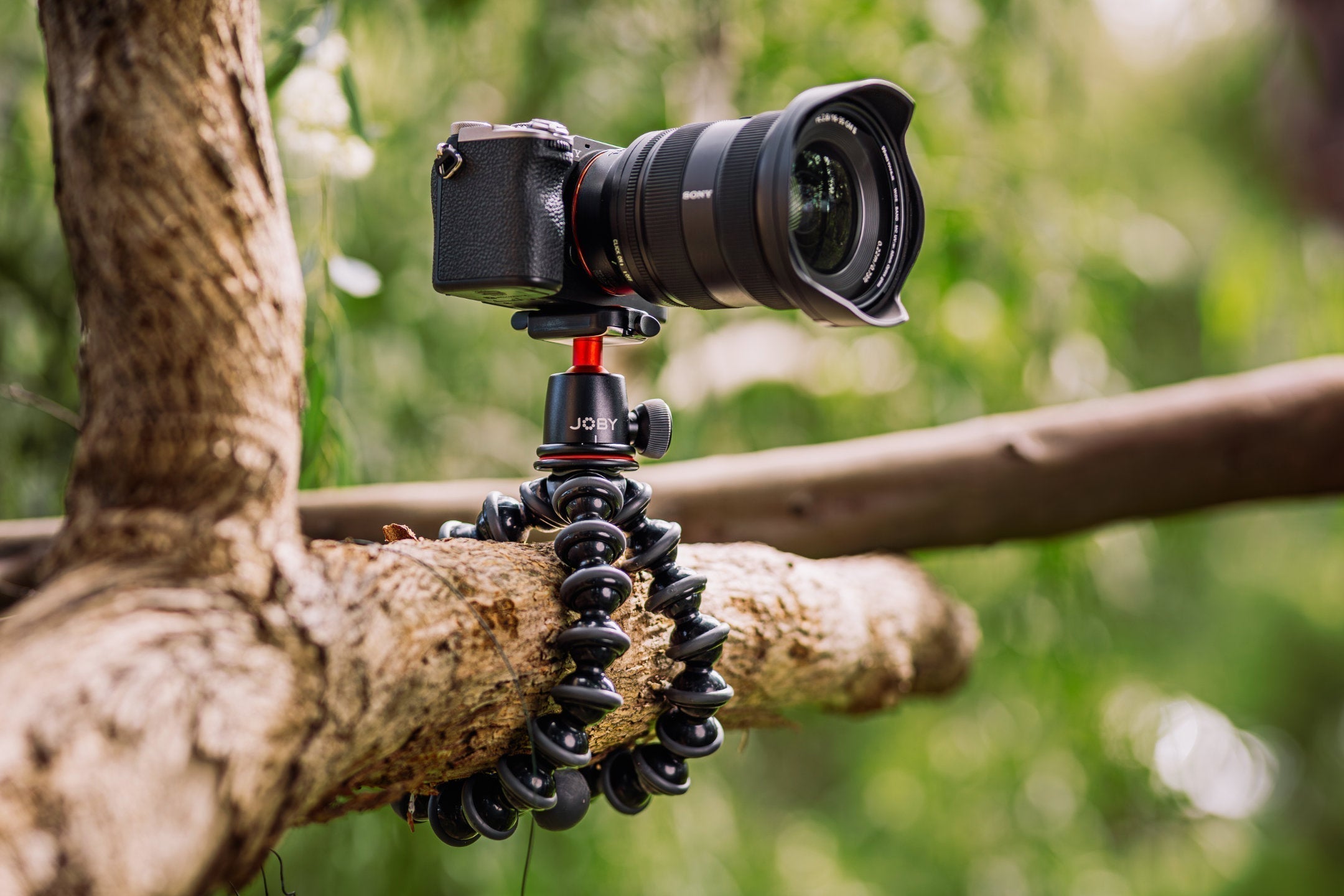 How to Film Yourself While Hiking Alone