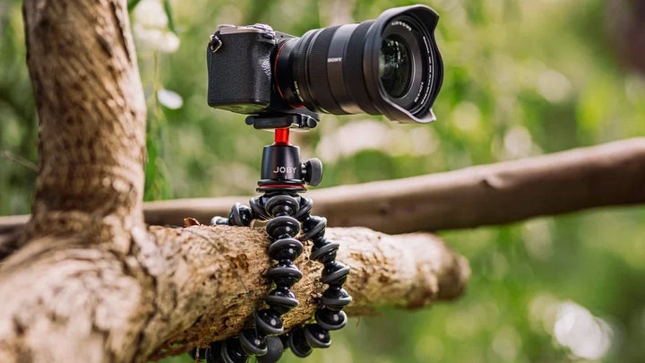 GorillaPod 3K flexible tripod wrapped around a tree branch on a wooded trail, camera mounted