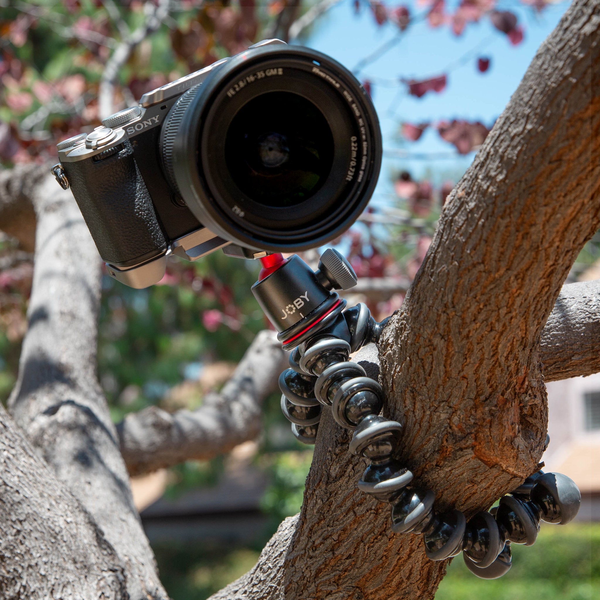 GorillaPod® 3K Tripod Kit for Content Creators | JOBY Official Store